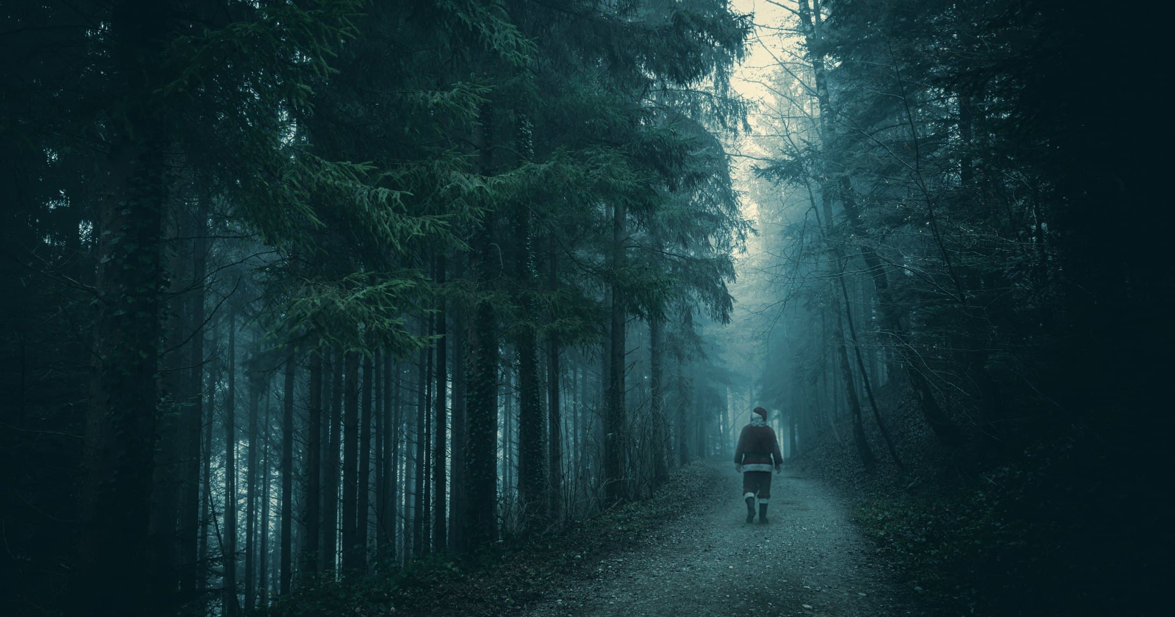 A person walking away down a forest track into thick fog.